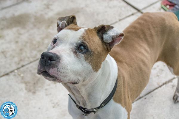 Molly, una casa per gli anni più preziosi Foto 5